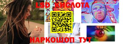 молекула духа Партизанск