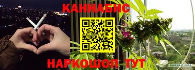 молекула духа Партизанск